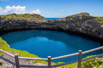 🏞️ 토리이케 연못 (토리이케)
